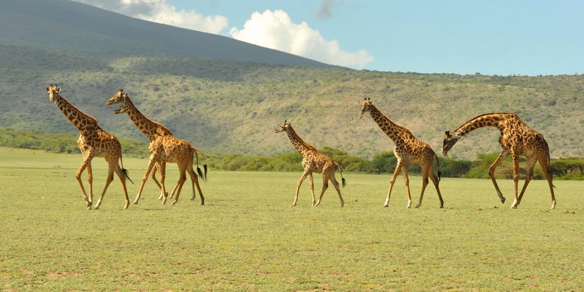 First Hand Perspective on Africa’s Underestimated Investment Potential