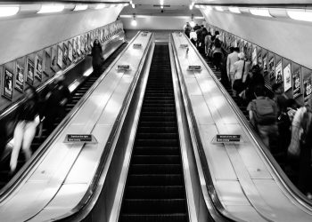 Proprietary Opportunities