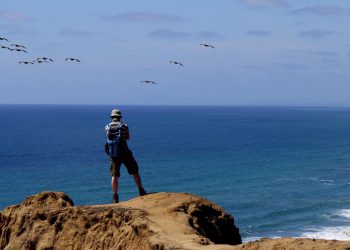 Our Purpose & Values