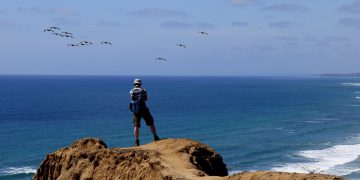 Our Purpose & Values