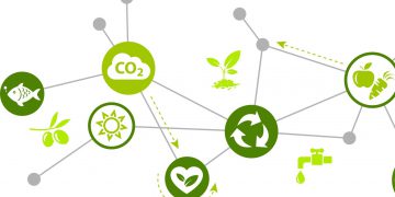 Global Impact Investments