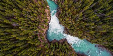 The Economics of ESG Investments – Zinqular Co-CEO shares his views on an industry undergoing profound change