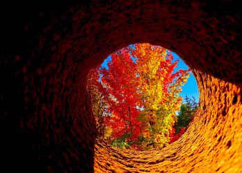 Executive Summary: Excelling Beyond the New Era