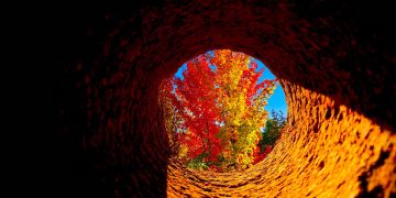 Executive Summary: Excelling Beyond the New Era