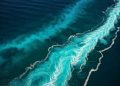 Thriving Amid Change: Tapping The Strength of Upward Ocean Currents – Outlook 2025